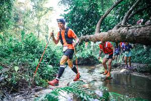 BIB: 
                            <button type="button" onclick="openModal(25439168)" class="btn btn-primary btn-sm float-right btn-popup" data-toggle="modal" data-target=".modal-high-quality">
                        <i class="fas fa-shopping-cart"></i> Add to Cart
                    </button>
                                            <button type="button" onclick="isThisMe(25439168, true)" class="btn btn-success btn-sm float-right btn-popup btn-isme hidden" data-toggle="tooltip" data-placement="bottom" title="นี่คือรูปของคุณใช่ไหม คลิกที่นี่เพื่อเอาเข้าอัลบั้ม">
                        <i class="fas fa-plus"></i> Add to album
                    </button>
                    <button type="button" onclick="isThisMe(25439168, false)" class="btn btn-warning btn-sm float-right btn-popup btn-isnotme hidden">
                        <i class="fas fa-ban"></i> Remove from album
                    </button>